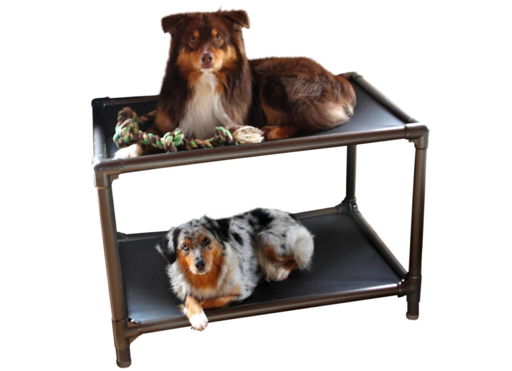 Dog beds by Kuranda are great! Chew-proof and sturdy. Visit Kuranda.com to learn more.