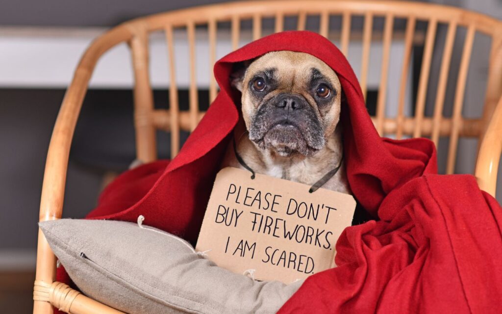 Dog with sign that says "please don't buy fireworks, I am scared"