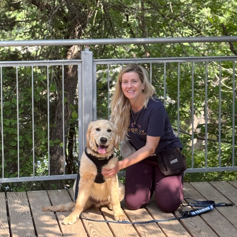 South Austin Dog Trainer Shelly Haines & Douglas a yellow lab puppy